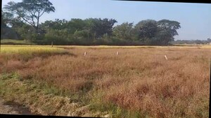 Plot Area in  Plot at Kudlum – for Sale