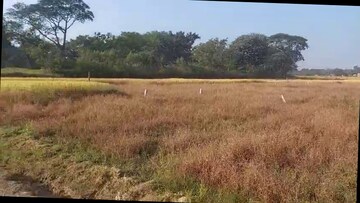 Plot Area in  Plot at Kudlum – for Sale