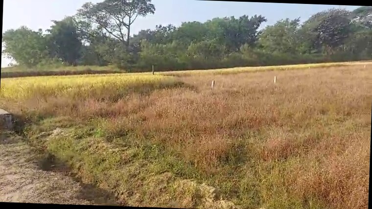 undefined, kudlum  2178 Sq.Ft. Plot In Kudlum Ranchi 9624428