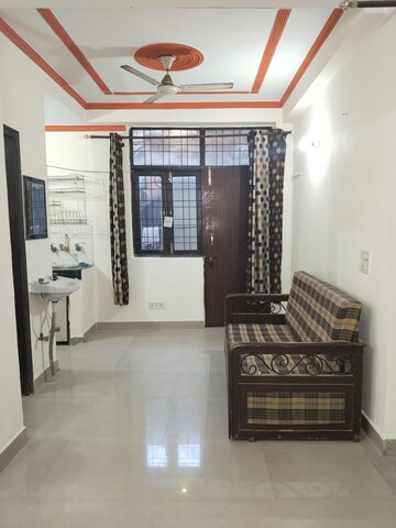 1 BHK Apartment For Rent in Khirki Extension