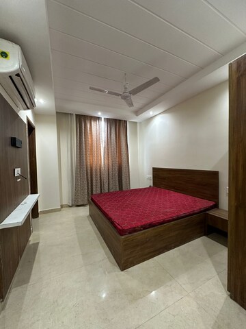  Pg For Rent in Ambala Highway