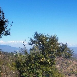  Plot – Exterior View View at Lamgara - for Sale