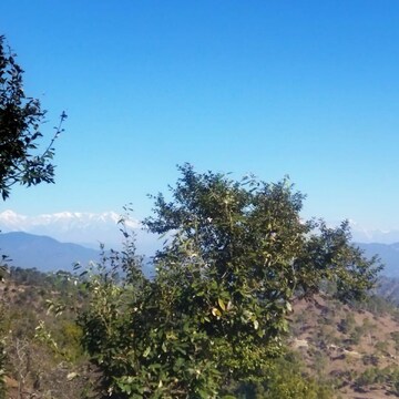  Plot – Exterior View View at Lamgara - for Sale