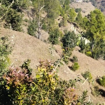 Plot Area in  Plot at Lamgara – for Sale