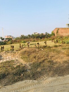 Plot For Sale in Sector 8