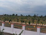242 Sq.Yd. Plot in Vasudaika Henley Woods