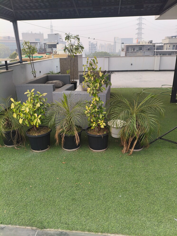 Balcony, dlf phase ii 3 Bedroom 250 Sq.Yd. Builder Floor In Dlf Phase ii Gurgaon 9625206