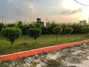  Plot – Exterior View View at Bhola - for Sale