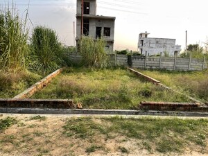 Plot Area in  Plot at Bhola – for Sale