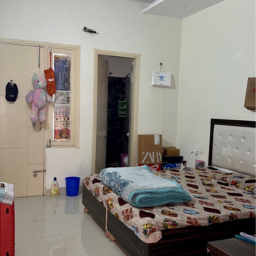  Pg For Rent in Sector 135