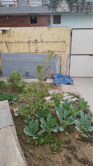  Plot – Exterior View View at Maruti Kunj - for Sale