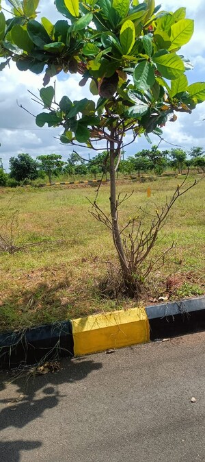  Plot For Sale in Fortune Butterfly City, Kadthal