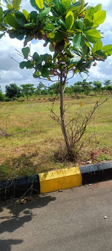  Plot For Sale in Fortune Butterfly City, Kadthal