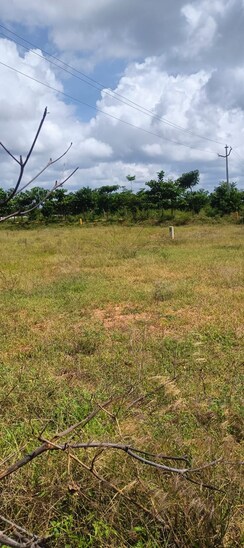 Plot For Sale in Fortune Butterfly City