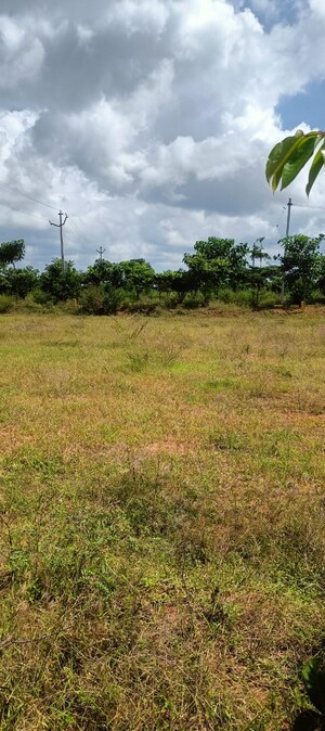  Plot For Sale in Fortune Butterfly City, Kadthal