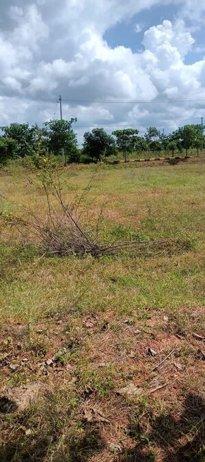  Plot For Sale in Fortune Butterfly City, Kadthal