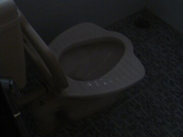 Bathroom in 2 BHK Independent House at Rt Nagar – for Rent