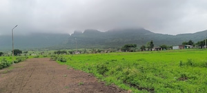 Plot Area in  Plot at Peth Road – for Sale