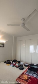 3.5 BHK + Study Room 260 Sq.Yd. Builder Floor in For Rent Floors Available