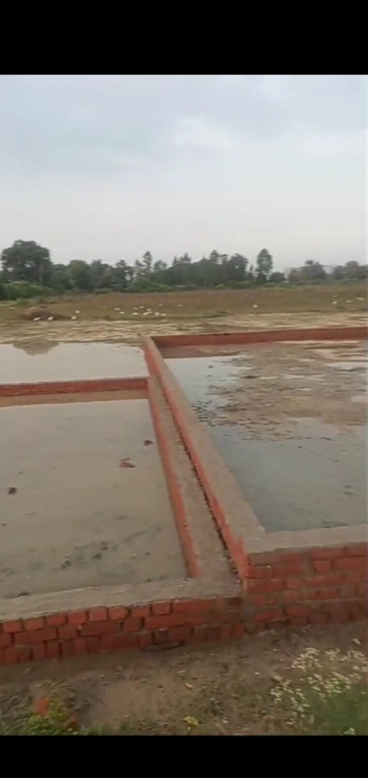 undefined, sushant golf city  1040 Sq.Ft. Plot In Sushant Golf City Lucknow 9626037