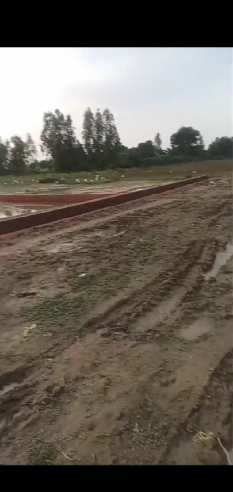 undefined, sushant golf city  1210 Sq.Ft. Plot In Sushant Golf City Lucknow 9626128