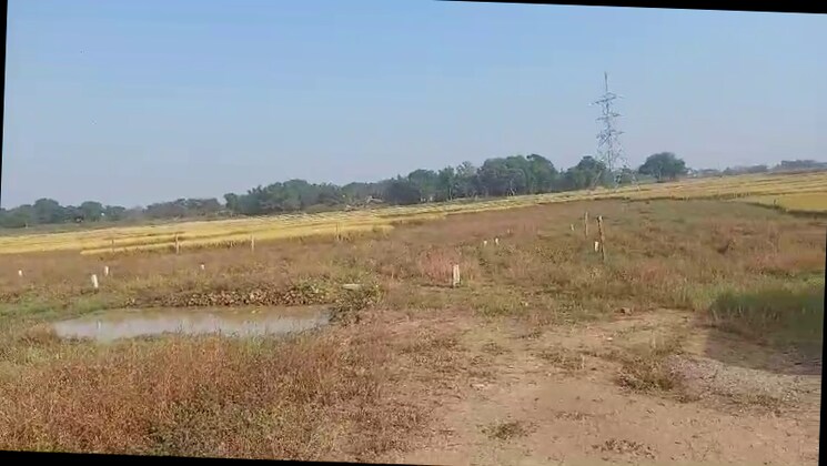 undefined, tanko  2178 Sq.Ft. Plot In Tanko Ranchi 9626034