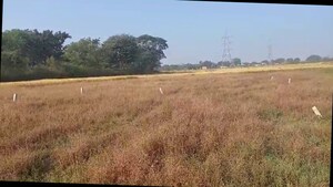 Plot Area in  Plot at Tanko – for Sale