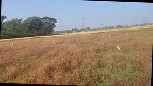 Plot Area in  Plot at Tanko – for Sale