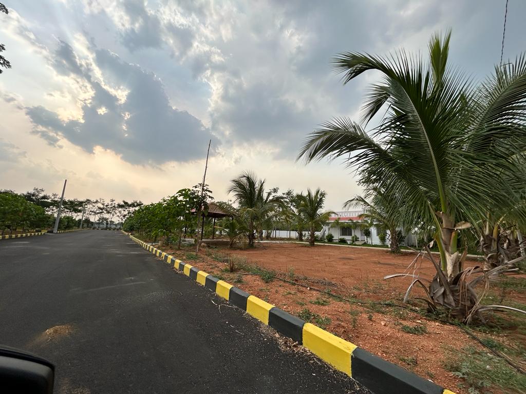 Plot For Sale in Jbs Harmoony Woods