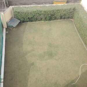  1 BHK Builder Floor at Chattarpur – for Rent