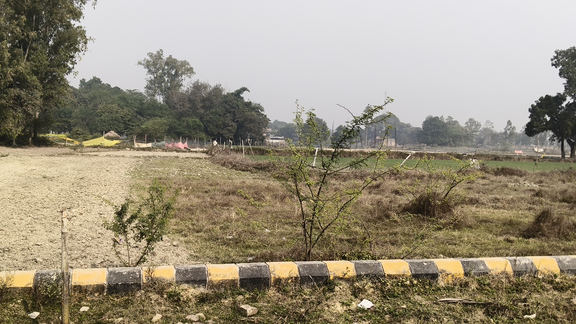 Plot For Sale in Sharda City 