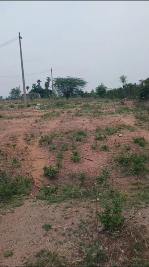  Plot For Sale in Ramdas Pally