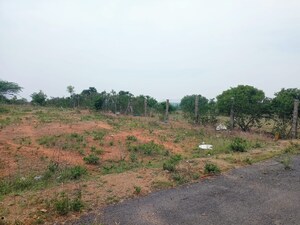 Plot Area in  Plot at Ramdas Pally – for Sale