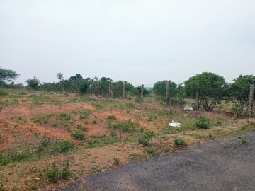 Plot Area in  Plot at Ramdas Pally – for Sale