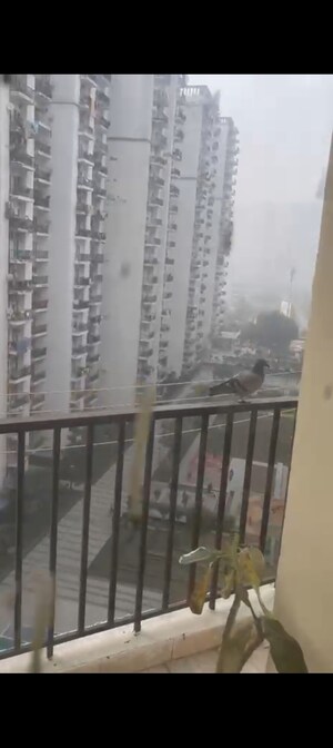 Staircase in 2 BHK Apartment at Panchsheel Hynish, Sector 1 Greater Noida – for Rent