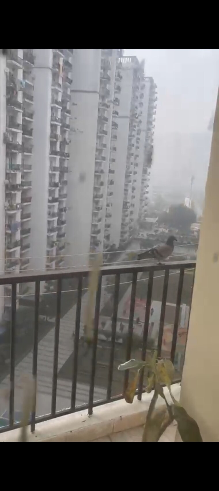 undefined, panchsheel-hynish 2 Bedroom 900 Sq.Ft. Apartment In Sector 1 Greater Noida Greater Noida 9626877