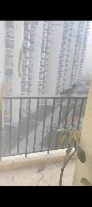 Staircase in 2 BHK Apartment at Panchsheel Hynish, Sector 1 Greater Noida – for Rent