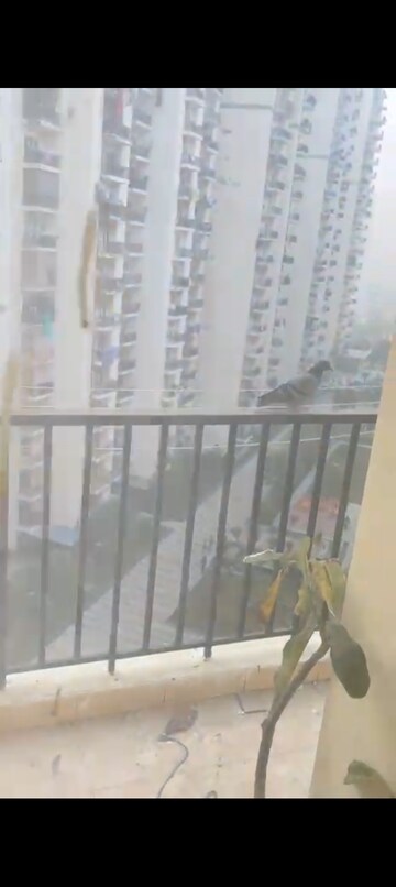 Staircase in 2 BHK Apartment at Panchsheel Hynish, Sector 1 Greater Noida – for Rent