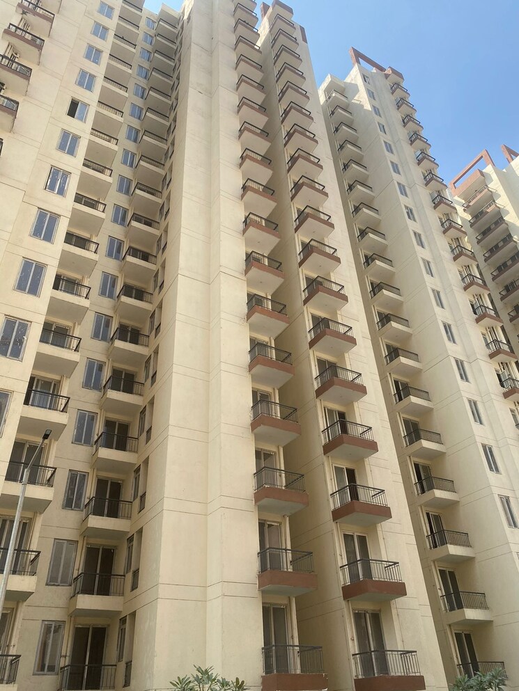 Exterior View, amrapali-ivory-heights 3 Bedroom 1360 Sq.Ft. Apartment In Amrapali Dream Valley Greater Noida 9626893