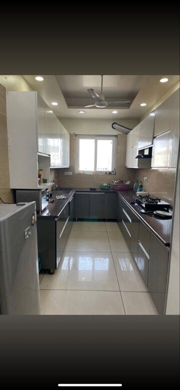 Kitchen in 1 BHK Builder Floor at SAS Tower, Sector 38 – for Rent