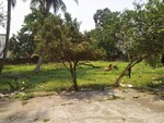27528 Sq.Ft. Plot in Khetrajpur