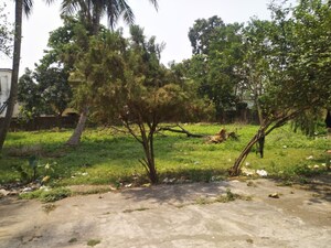  Plot For Sale in Khetrajpur