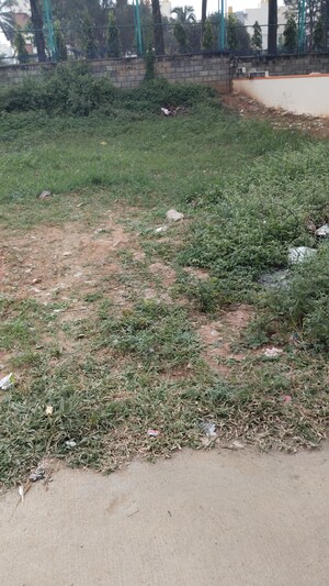 Plot Area in  Plot at Sarjapur – for Sale