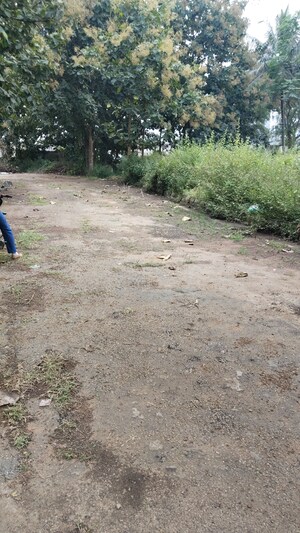 Plot Area in  Plot at Sarjapur – for Sale