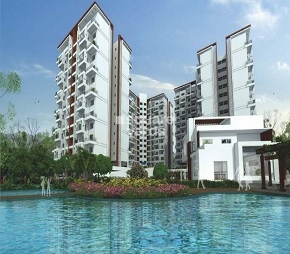 2 BHK Apartment For Rent in Regency Orion