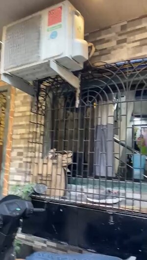  2 BHK Independent House at Savarkar Nagar – for Sale