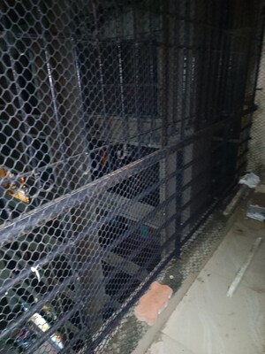 1 BHK Apartment – Exterior View View at Rashmi Classic, Nalasopara East - for Rent