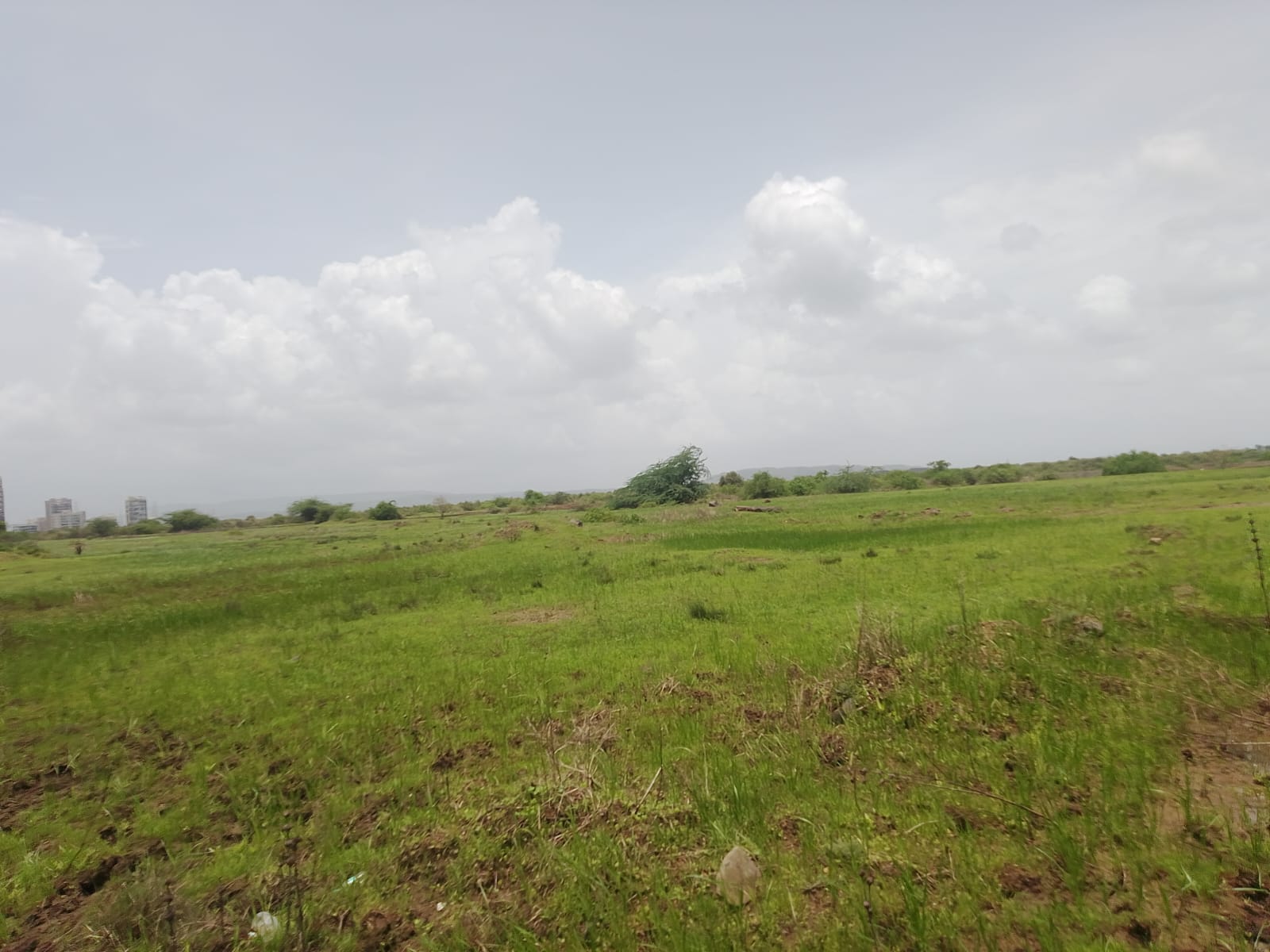 Plot For Sale in Dronagiri 