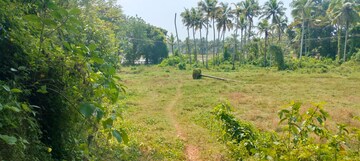  Plot – Garden View at Kaiparambu jn - for Sale
