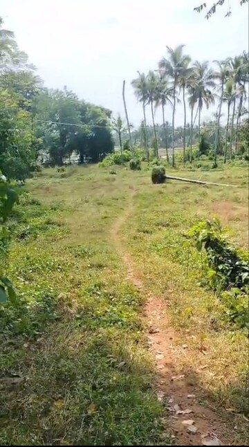  Plot For Sale in Kaiparambu jn